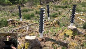 Feller forsynt med feromondispensere