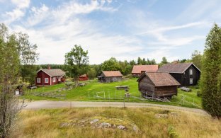 Tunet på Nordre Bøensætre med den gamle skolestua til venstre. Slåttenger og beiter holdes i hevd i området.  Foto: Koppang Landbruk. 