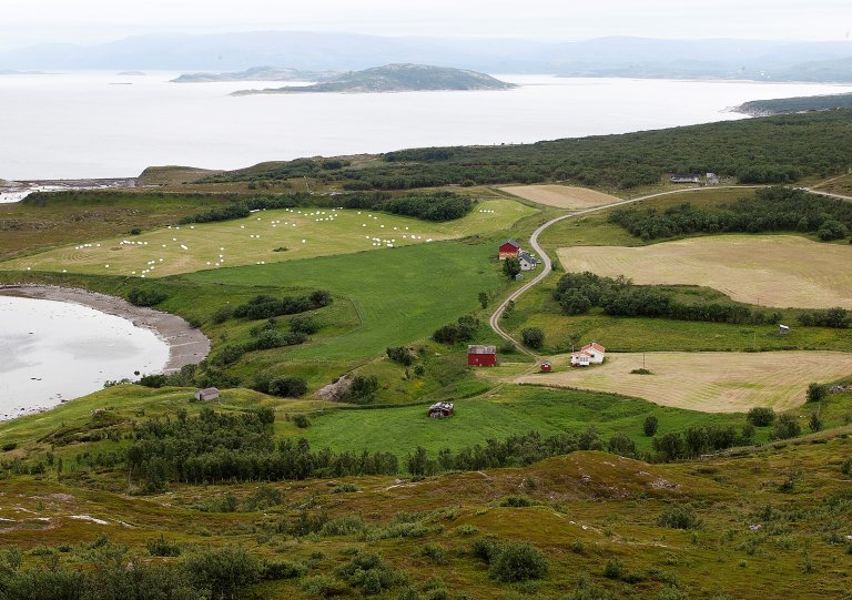 45 Goarahat og Sandvikhalvøya Foto Oskar Puschmann.jpg