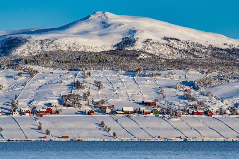 43 Skallan - Rå Foto Robert Nygård.jpg