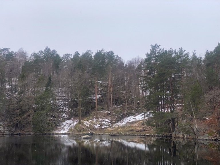 Panamakanalen etter hogst. Furøya, Agder_foto RAGG AS