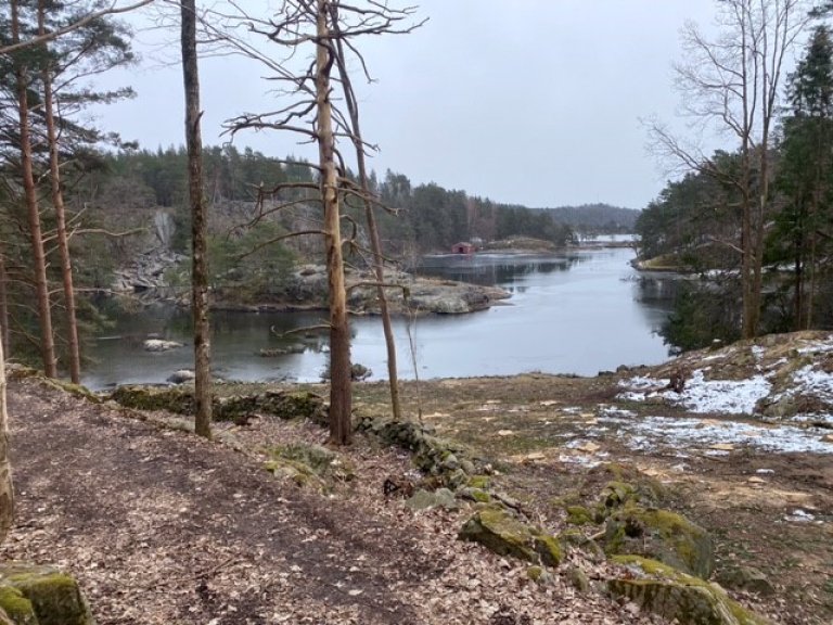 Bilde mot Båthuset etter hogst. Furøya, Agder_foto RAGG AS