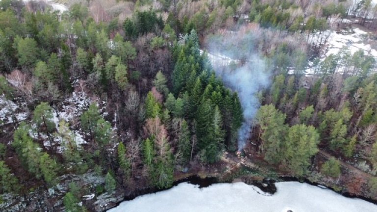 Dronebilde ved oppstart av hogsten. Furøya, Agder_foto RAGG AS