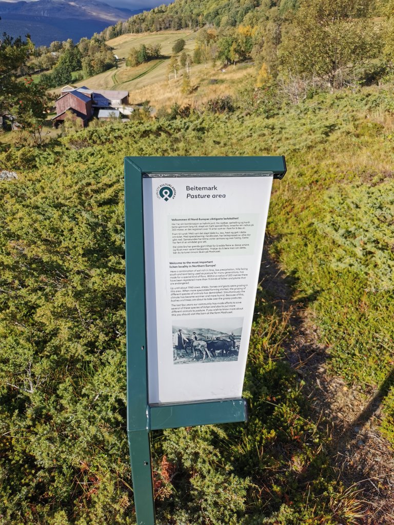 Skilt beitemark: Eit av dei små skilta som er sett opp langs stigen, om temaet «beitemark», på både norsk og engelsk. På delar av beitemarka finn ein nokon av Europas sjeldnaste lavartar. Nordherad, Innlandet_Foto: Stig Horsberg