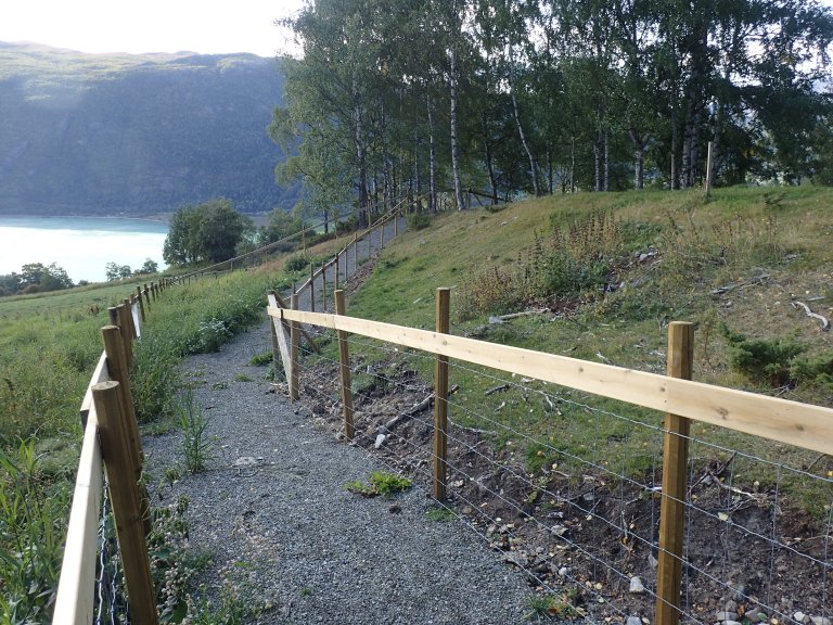 Inngjerda sti. Det siste strekket av stigen er gjerda inn langs beitemarka der ulvegrava ligg. Nordherad, Innlandet_Foto Stig Horsberg.