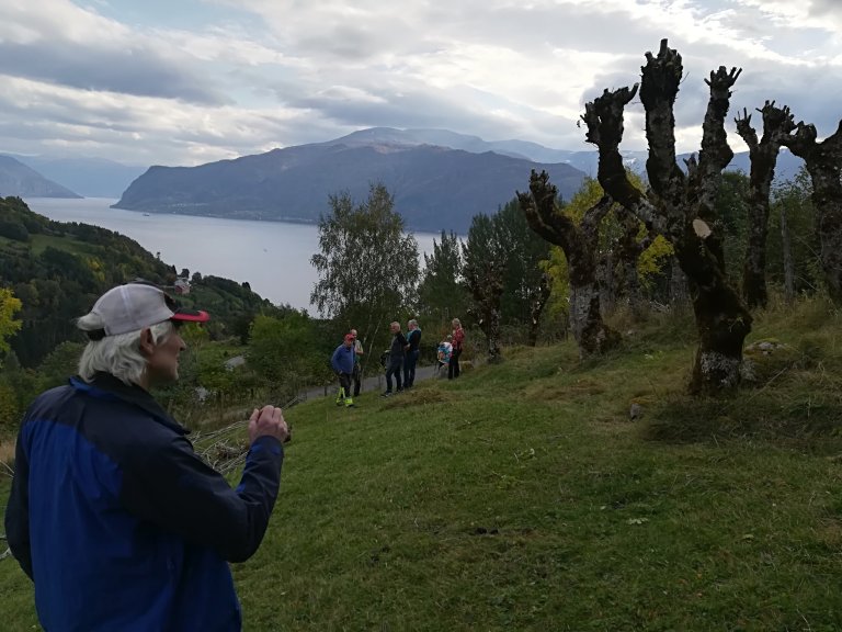 Grinde og Engjasete er eit interesant område for sturdieturarar for dei som søkjer kunnskap om styving. Grinde og Engjasete, Vestland_Foto Trude Knagenhjelm, Statsforvaltaren i Vestland