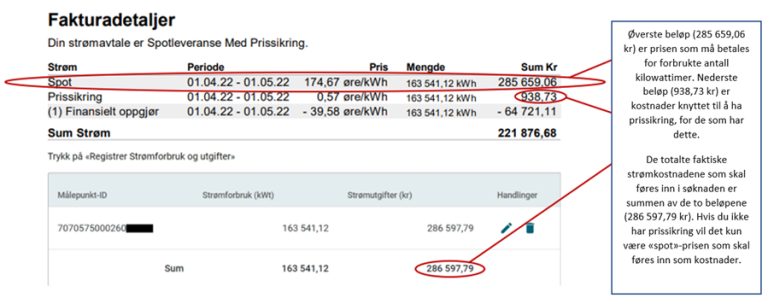Fakturadetaljer strømstøtte