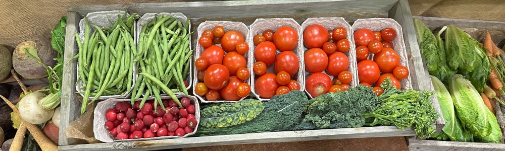 Bilde viser ulike grønnsaker 