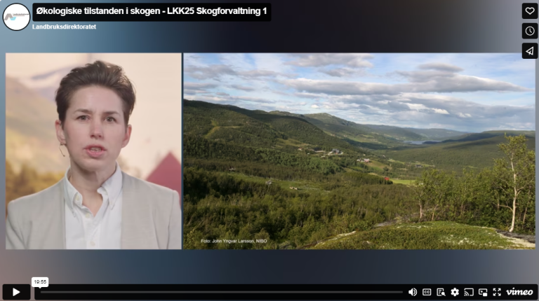 Hvordan er den økologiske tilstanden i skogen?