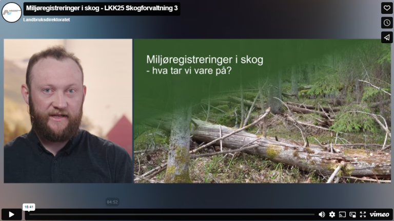 Miljøregistreringer i skog - hva tar vi vare på?