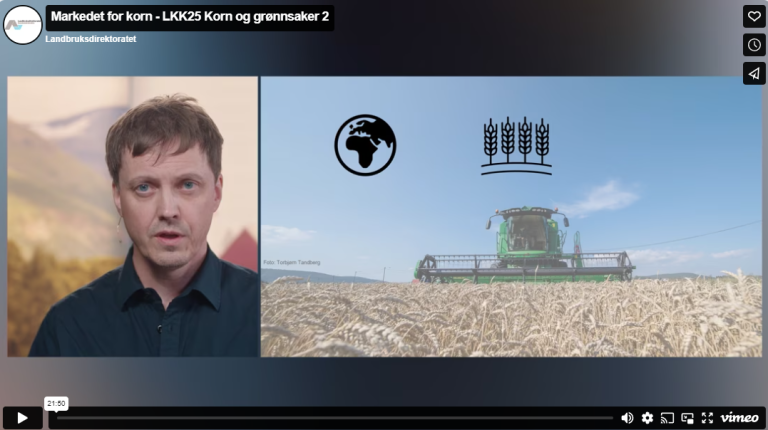 Markedet for korn, mel og kraftfôr