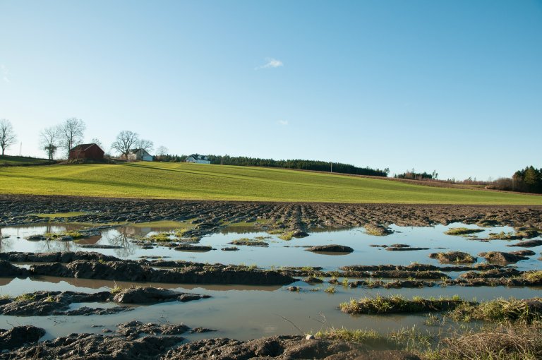 Overvann på jorde i Råde, som resultat av klimaendringer.