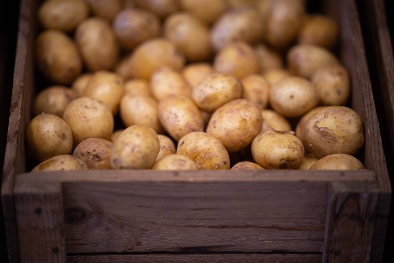 Poteter i trekasse Foto Torbjørn Tandberg.jpg