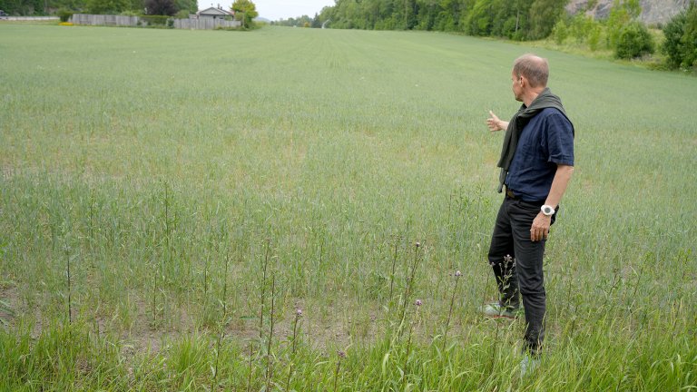 Tørr åker Vestfold og Telemark Jørn Rolfsen