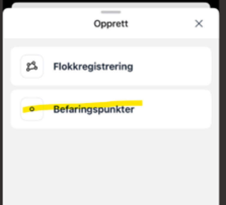 Linjer med meny, klikk på linjen "Befaringspunkter"
