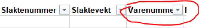 Bilde fra rapporteringssystem som viser kolonne for utfylling av varenummer.