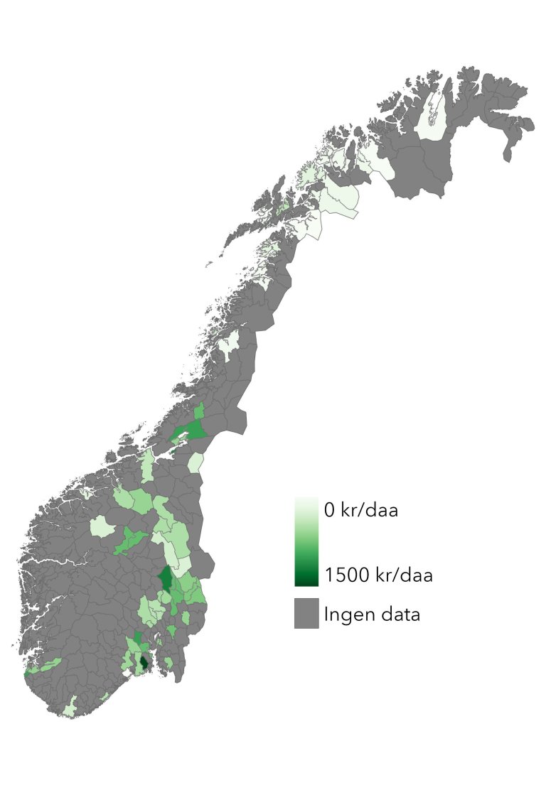 Kartet viser innrapporterte priser på leie av jord til potetdyrking på kommunenivå.