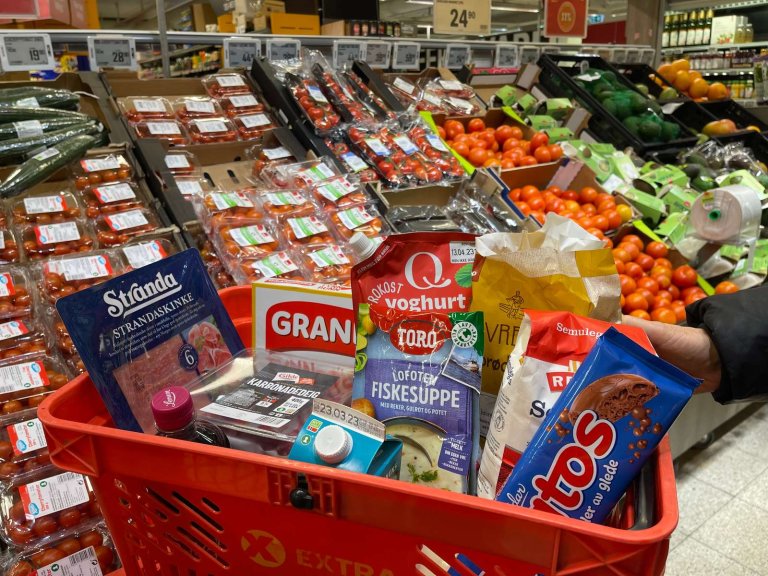 Bilde viser ein vanleg handlekorg vil et ofte vere RÅK-varer som til dømes sjokolade og pizza.